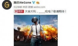 吃鸡新家具爆料视频,视频爆料带你领略游戏新风尚